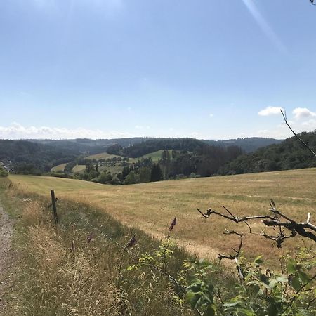 빌링겐 Gluehalm Willingen 빌라 외부 사진