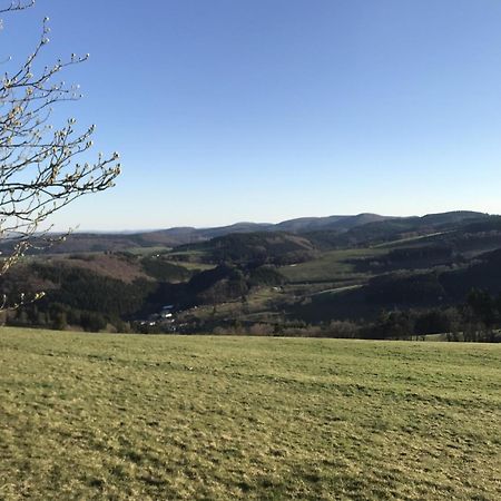 빌링겐 Gluehalm Willingen 빌라 외부 사진