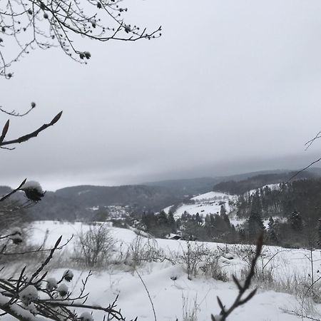 빌링겐 Gluehalm Willingen 빌라 외부 사진