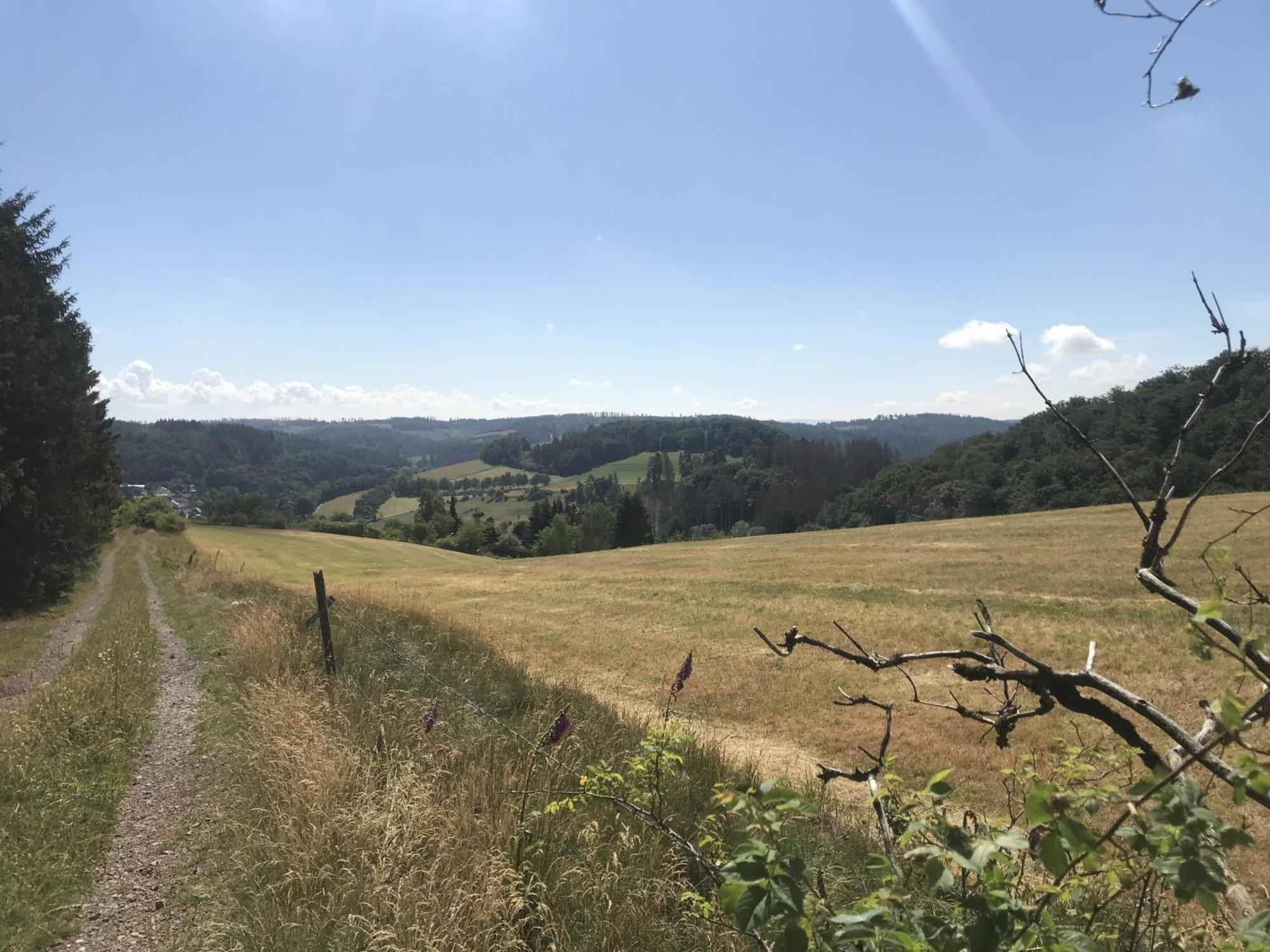 빌링겐 Gluehalm Willingen 빌라 외부 사진
