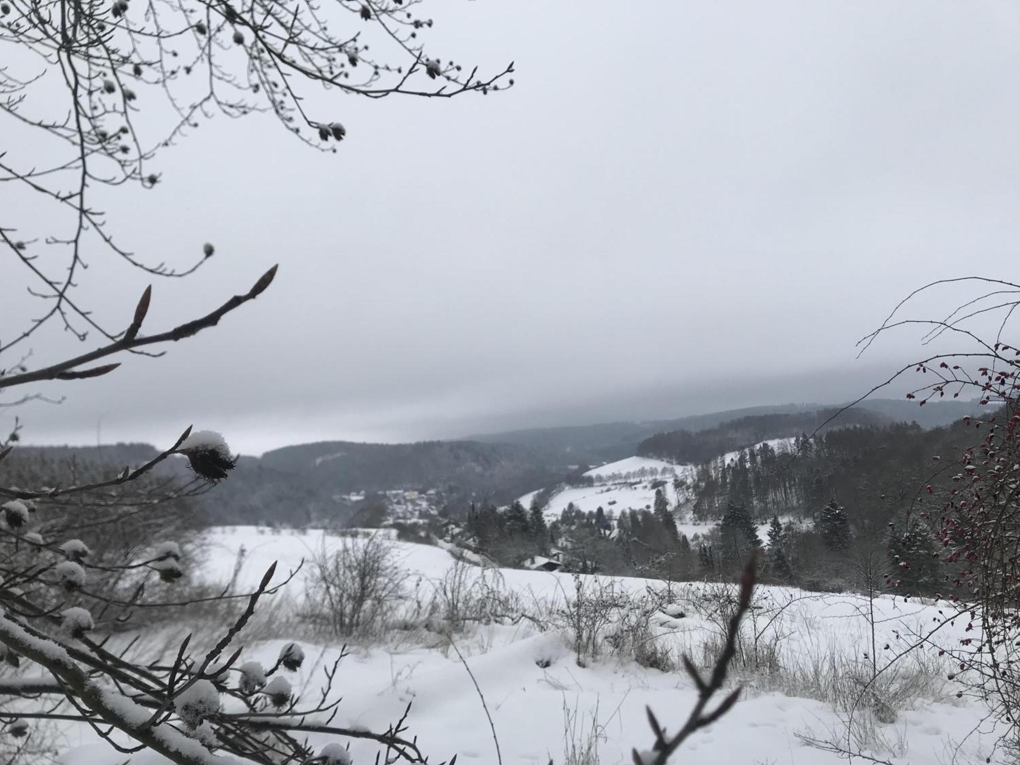 빌링겐 Gluehalm Willingen 빌라 외부 사진